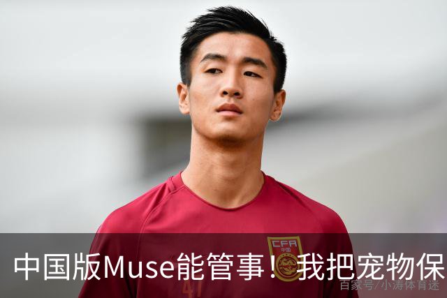 中国版Muse能管事！我把宠物保单、双11算价和周末旅行全交给了灵光2.0