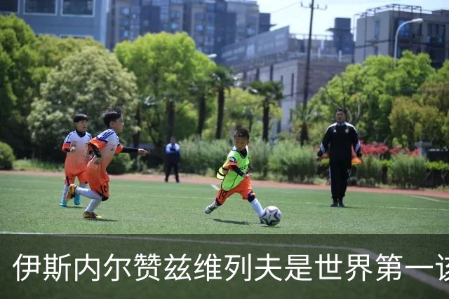伊斯内尔赞兹维列夫是世界第一该有的样子，世界最好接发球员之一