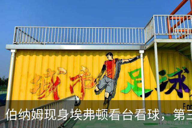 伯纳姆现身埃弗顿看台看球，第三球进账，他和妻子一起跳了起来