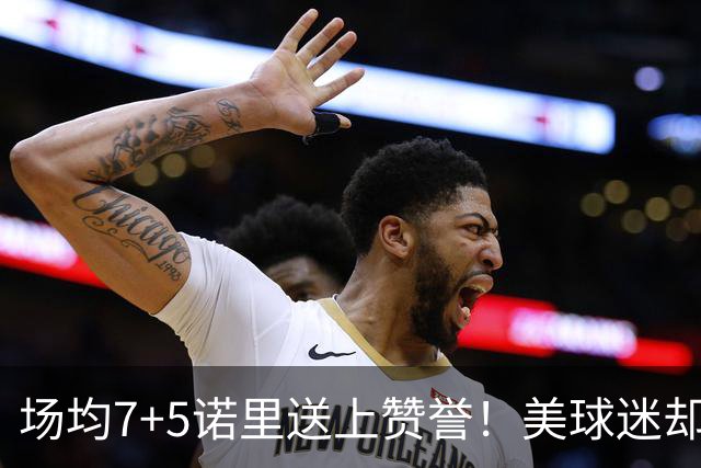 场均7+5诺里送上赞誉！美球迷却朝杨瀚森开炮 多人认为他难入轮换