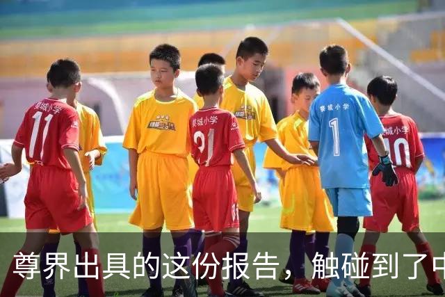 尊界出具的这份报告，触碰到了中国车圈最深的障碍