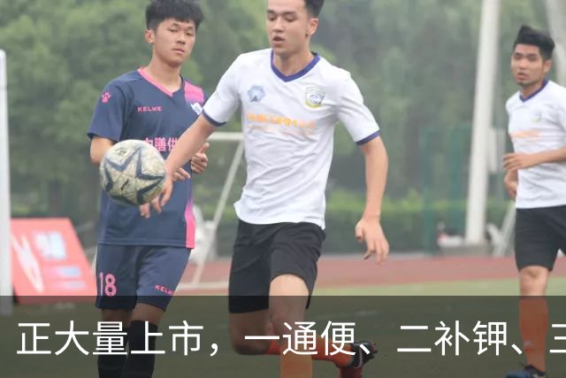 正大量上市，一通便、二补钾、三控糖、四护血管，建议大家多吃。