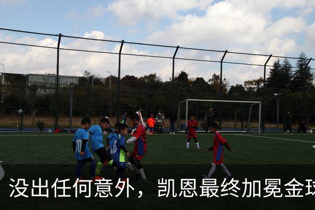 没出任何意外，凯恩最终加冕金球奖，算是迟到十五年的“破茧”吧
