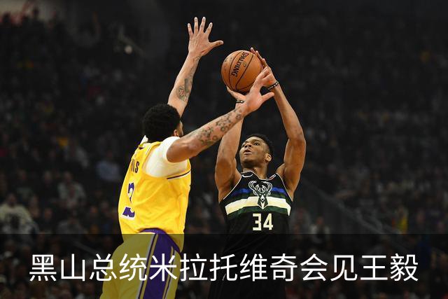 黑山总统米拉托维奇会见王毅