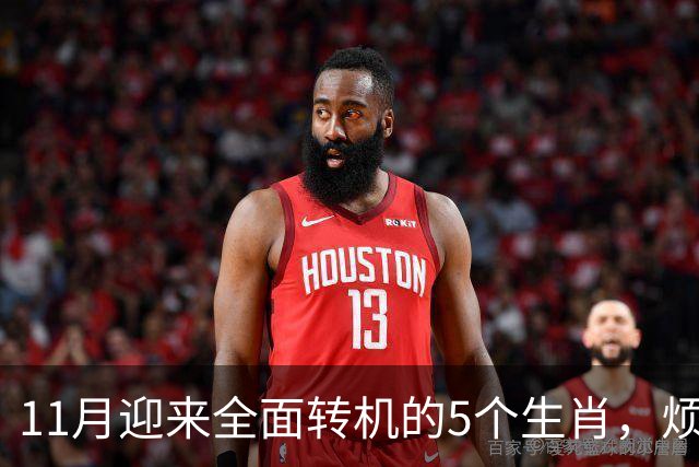 11月迎来全面转机的5个生肖，烦心事慢慢消失，财富爱情接连落地