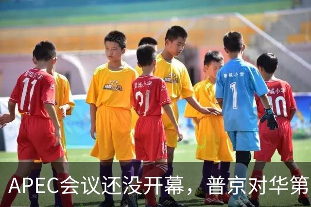 APEC会议还没开幕，普京对华第一个诉求公开，日本记者向中国提问